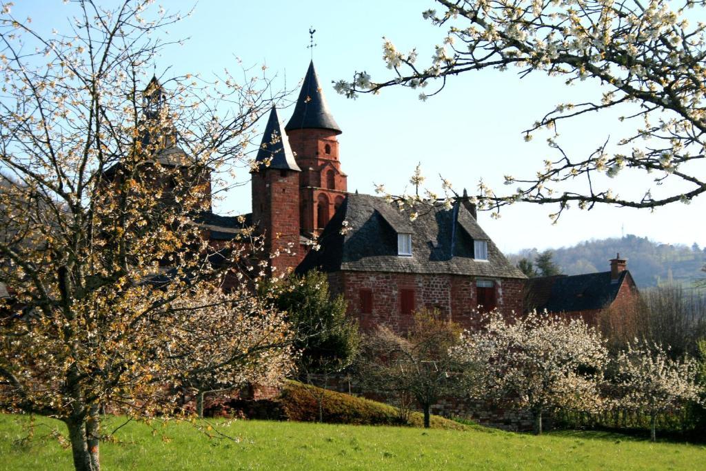 Roche De Vic